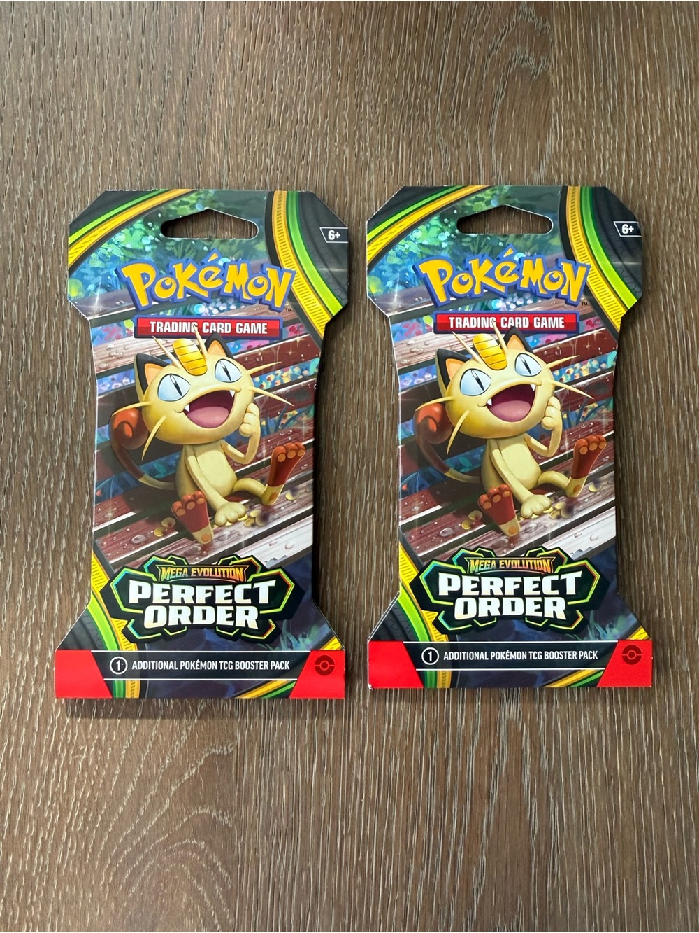 NWT Pokemon Perfect Order bundle set of 2